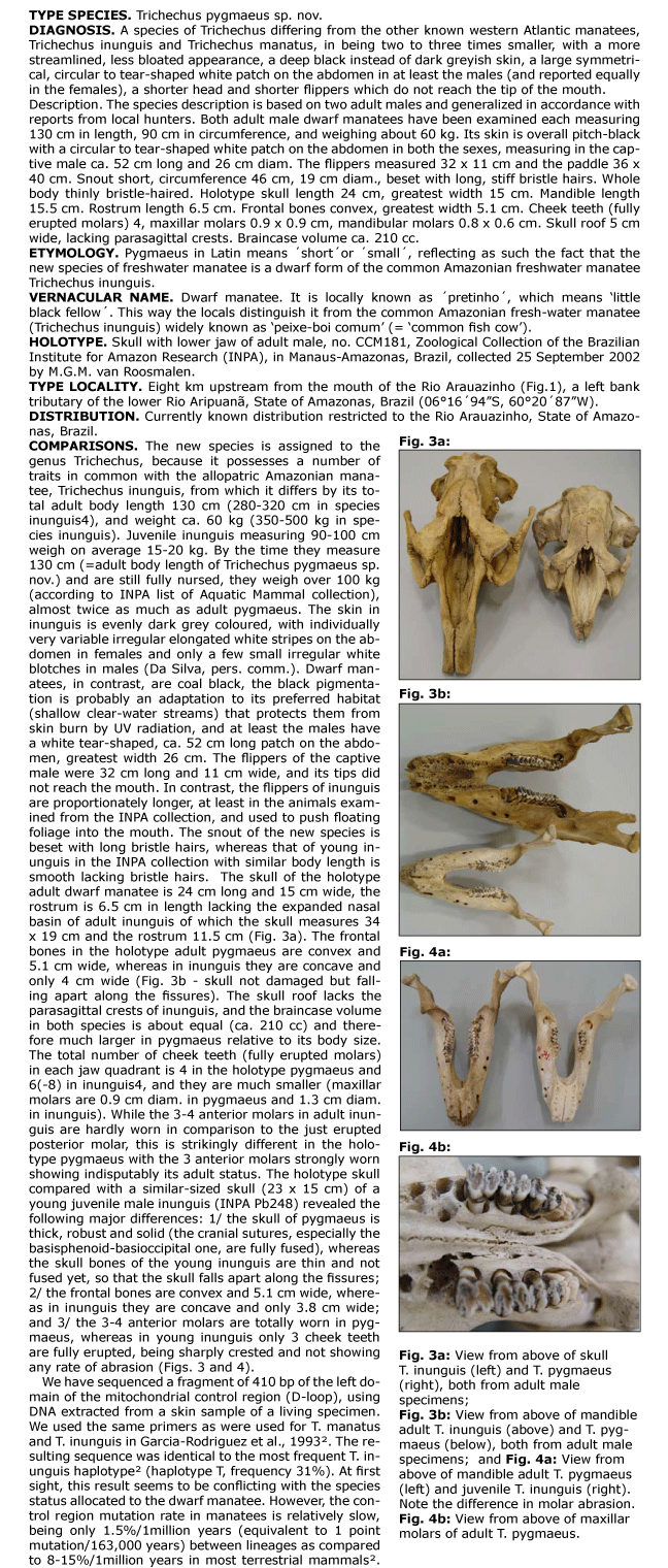 &copy; Marc Van Roosmalen