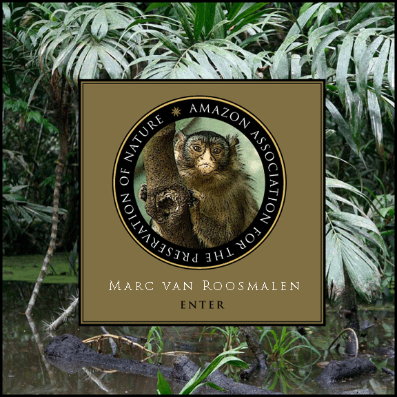 Marc van Roosmalen Consulting